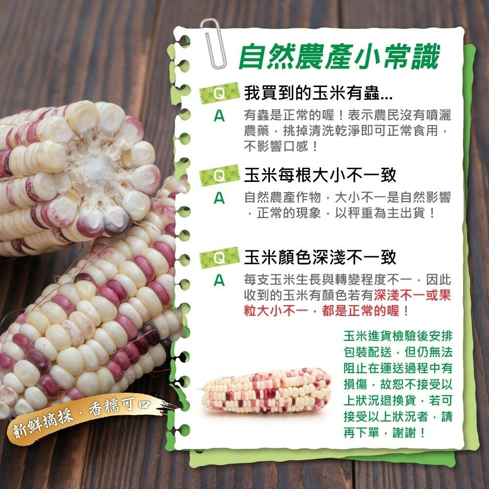 斑比彩虹甜糯玉米【果農直配】全省免運-細節圖4