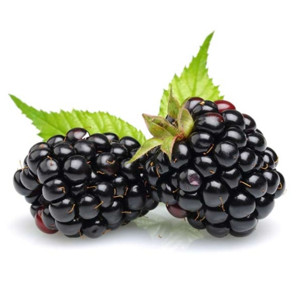 冷凍黑莓(每包200g±10%)【海陸管家】滿額免運-細節圖2