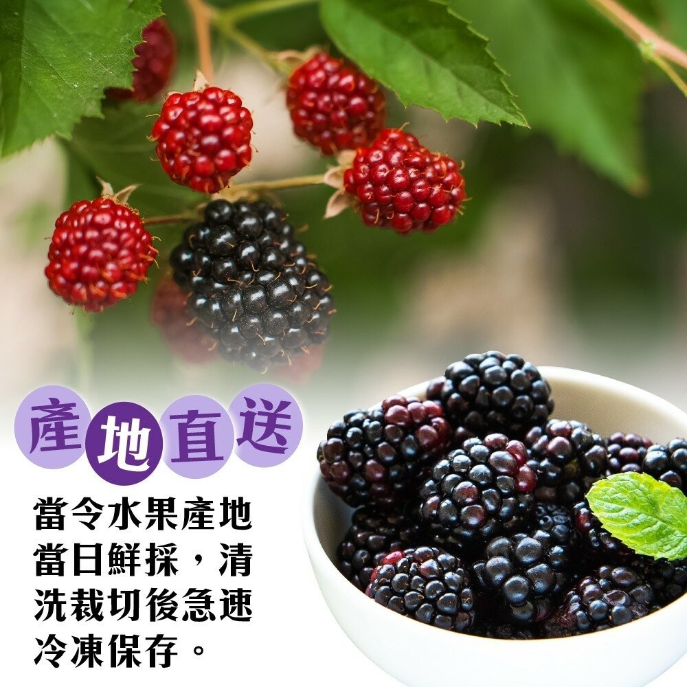 冷凍黑莓(每包200g±10%)【海陸管家】滿額免運-細節圖4