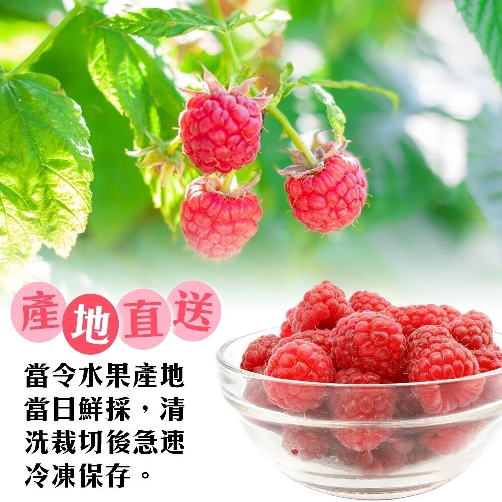 冷凍覆盆莓(每包200g±10%)【海陸管家】滿額免運-細節圖3