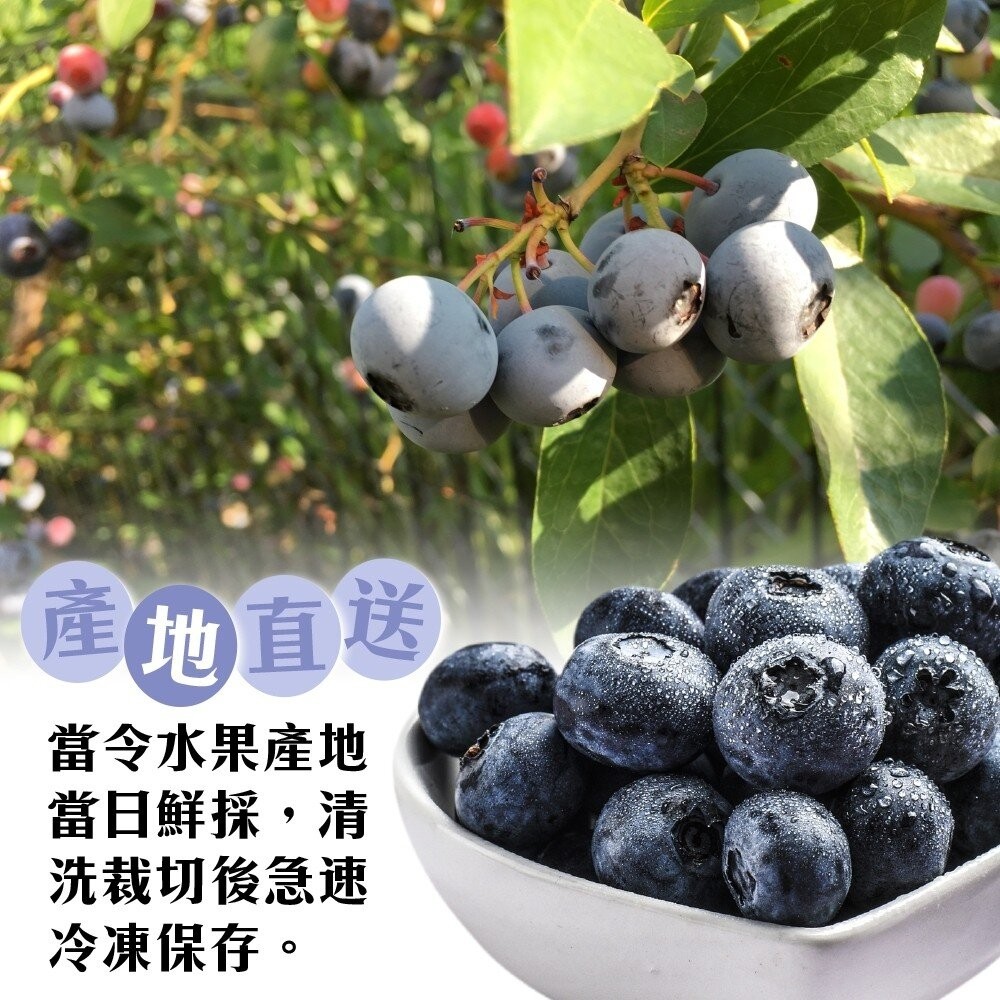 冷凍美國/智利栽種藍莓(每包200g±10%)【海陸管家】滿額免運-細節圖4