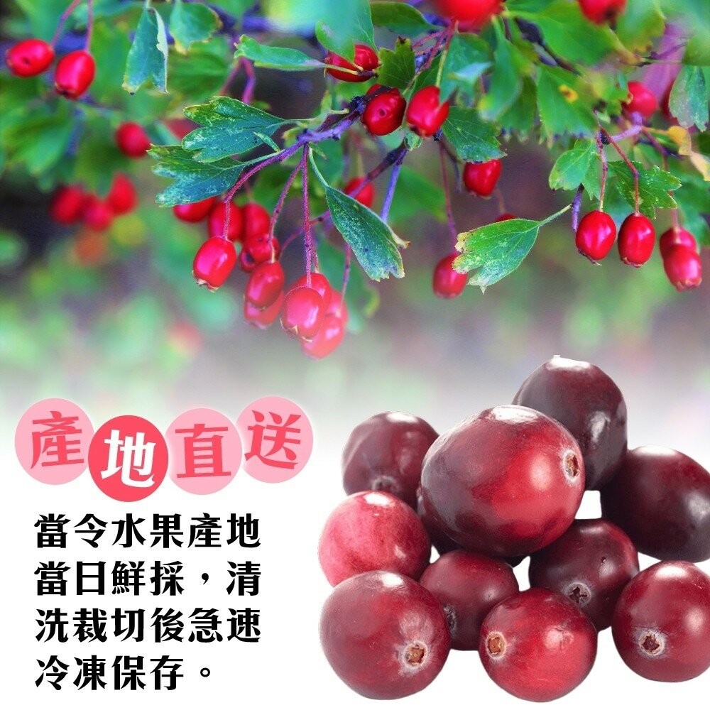 冷凍加拿大蔓越莓(每包200g±10%)【海陸管家】滿額免運-細節圖4