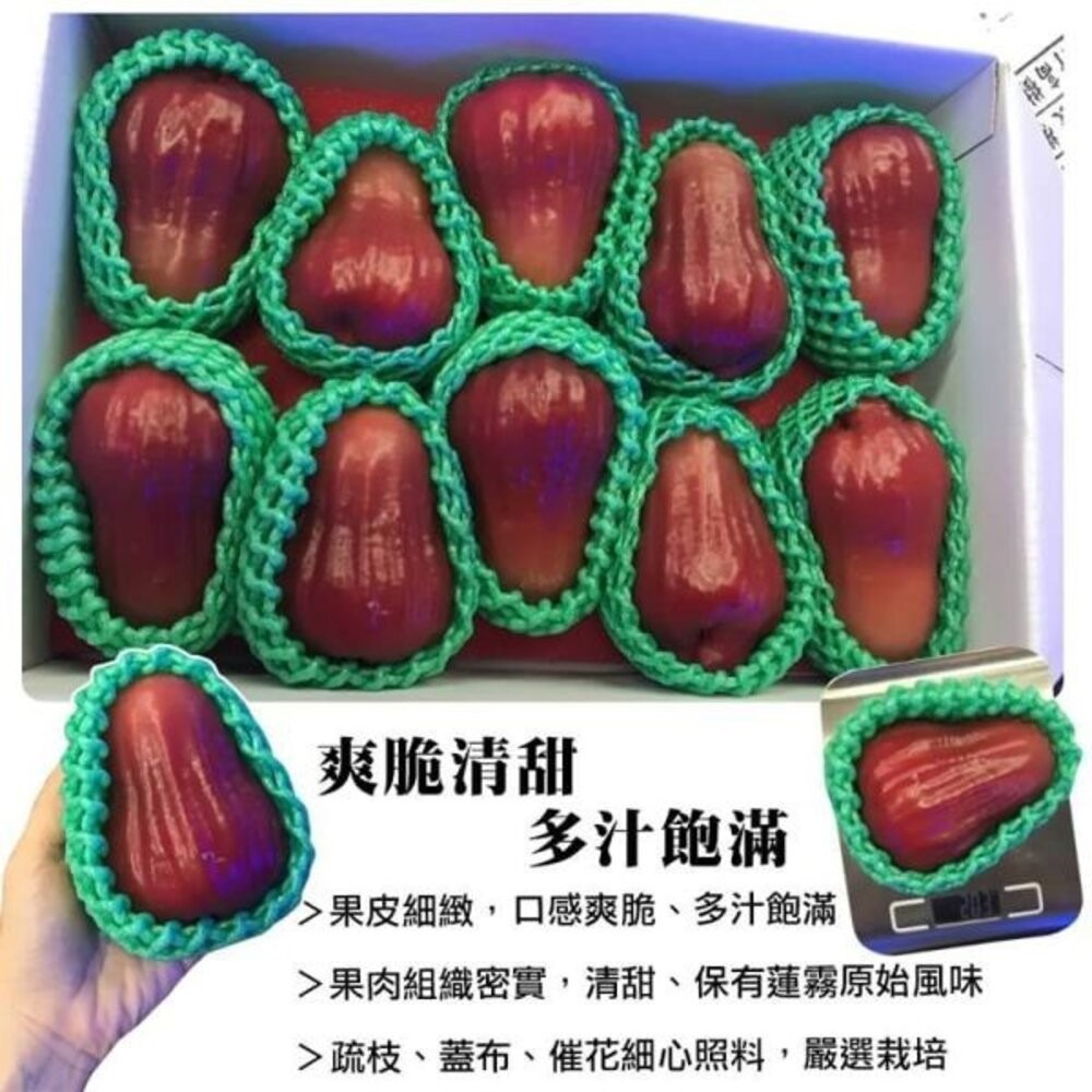 台灣正統黑糖芭比蓮霧禮盒8-12入/2kg±10%含盒 0運費【果之蔬】-細節圖4