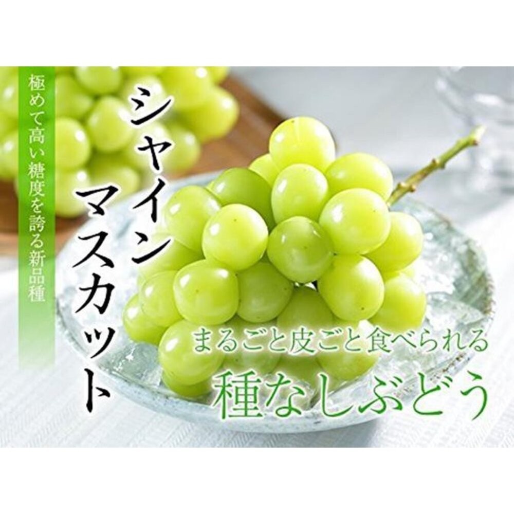 日本岡山晴王麝香葡萄原箱 0運費【果之蔬】日本葡萄 無籽葡萄 綠葡萄 日本綠葡萄 日本水果 晴王葡萄-細節圖5
