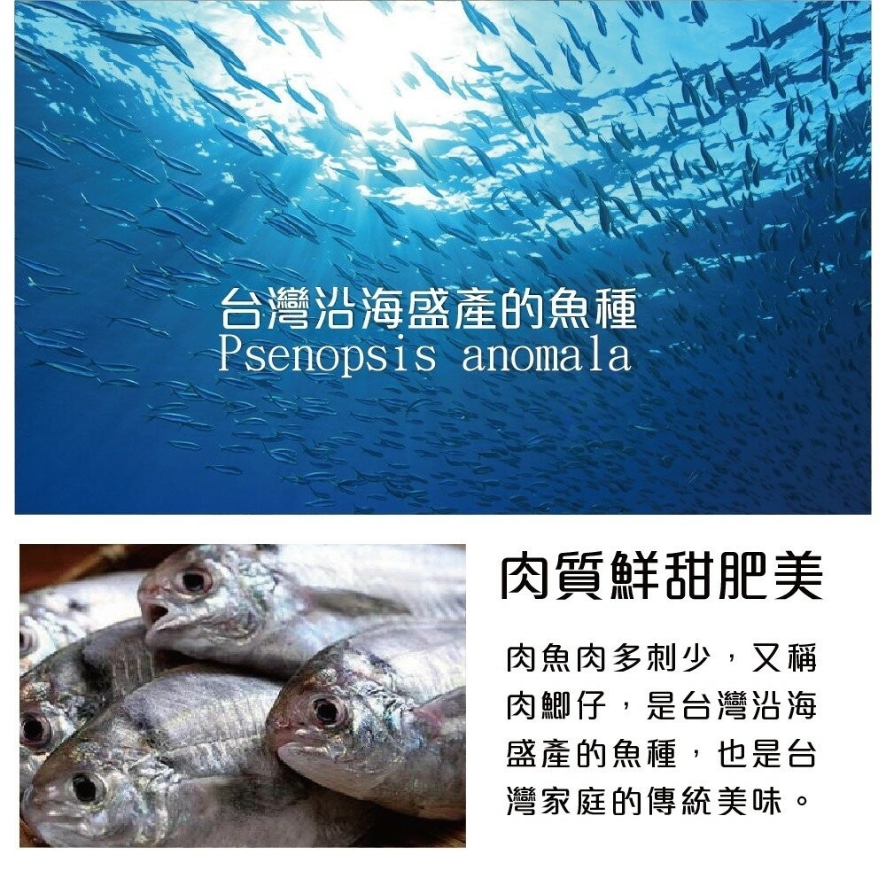 新鮮野生肉魚/肉鯽仔(每尾100g±10%)【海陸管家】滿額免運-細節圖2