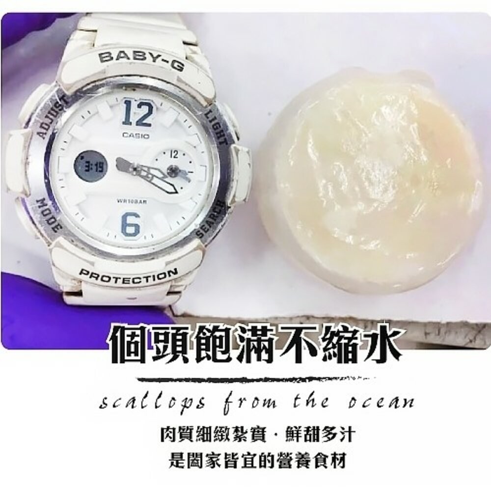 嚴選甜嫩大干貝(每包6顆裝/約180g±10%)【海陸管家】滿額免運-細節圖3