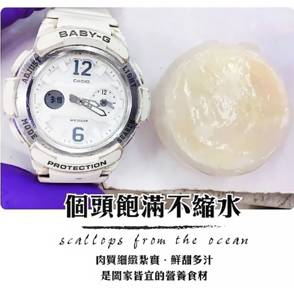 嚴選甜嫩大干貝(每包6顆裝/約180g±10%)【天天鮮配】滿額免運-細節圖3