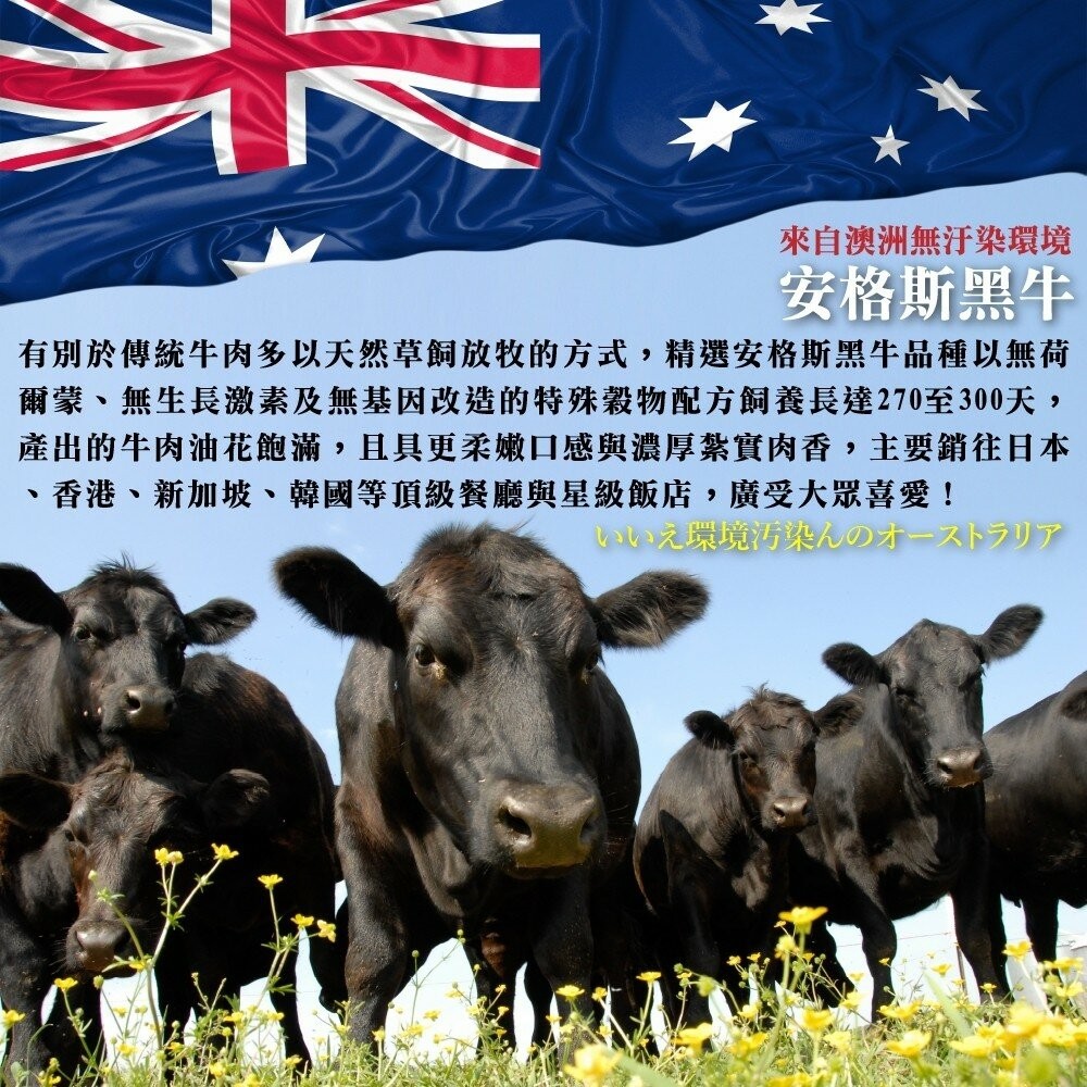 澳洲安格斯濕式熟成肋眼牛排(每片200g±10%)【海陸管家】滿額免運-細節圖5