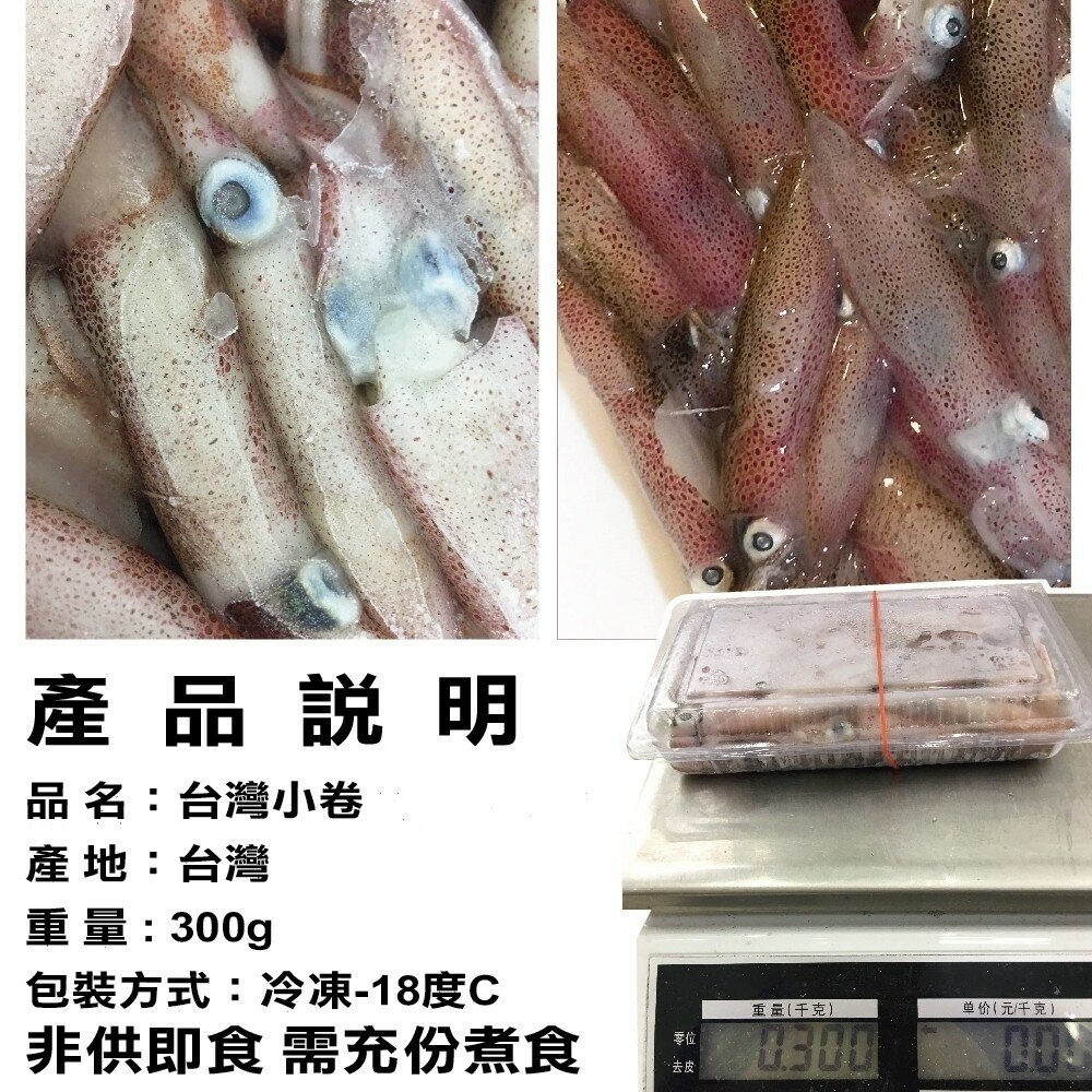 澎湖活凍生小管/小卷(每盒300g±10%)【海陸管家】滿額免運-細節圖6