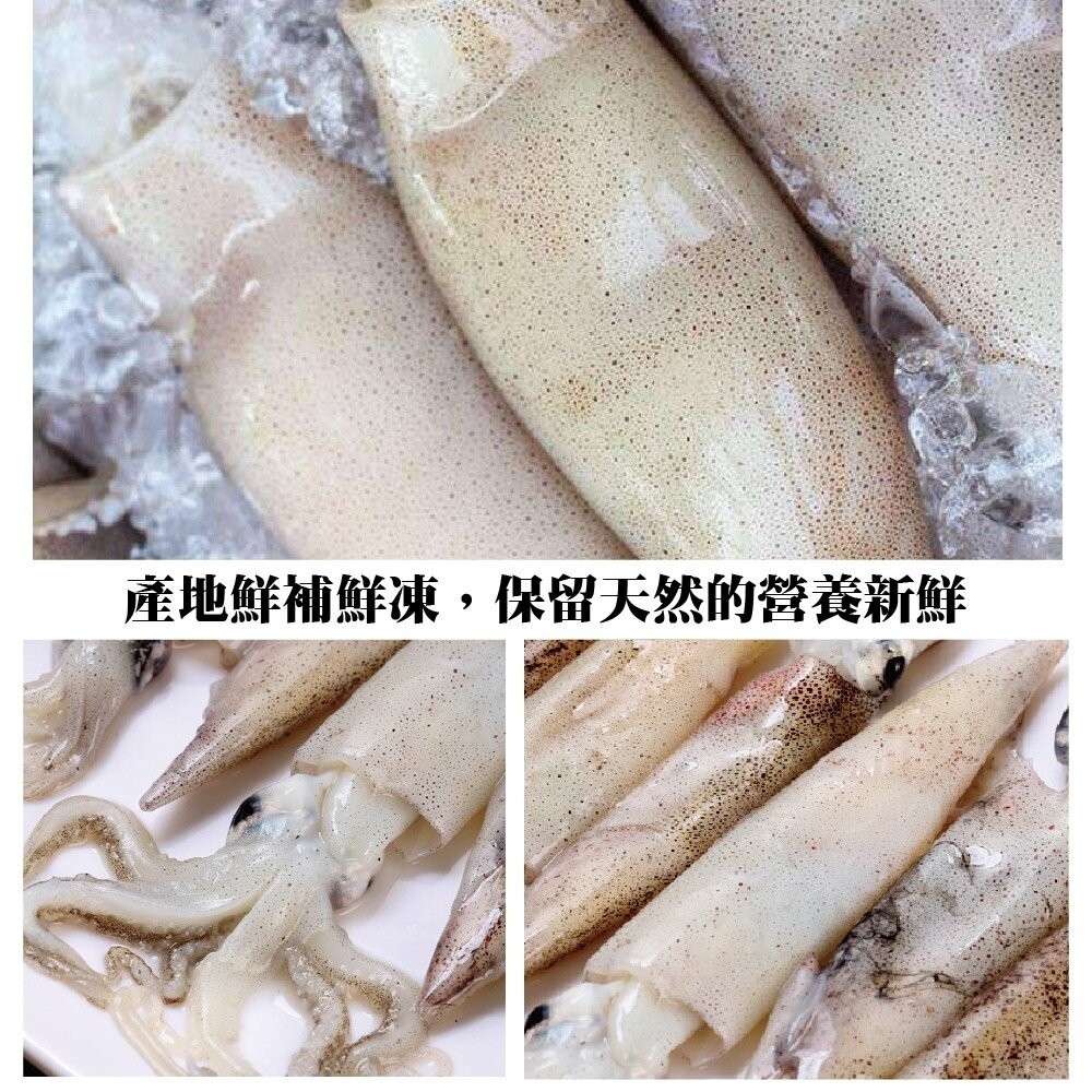 澎湖活凍生小管/小卷(每盒300g±10%)【天天鮮配】滿額免運-細節圖4