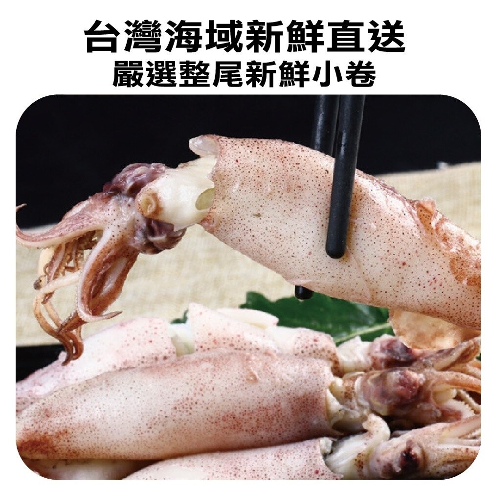 澎湖活凍生小管/小卷(每盒300g±10%)【天天鮮配】滿額免運-細節圖5