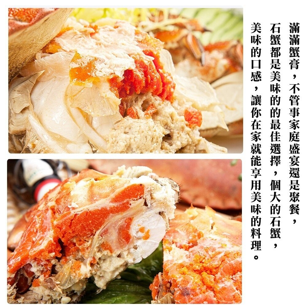 英國頂級霸王母蟹(每隻400~600g)【海陸管家】滿額免運-細節圖8