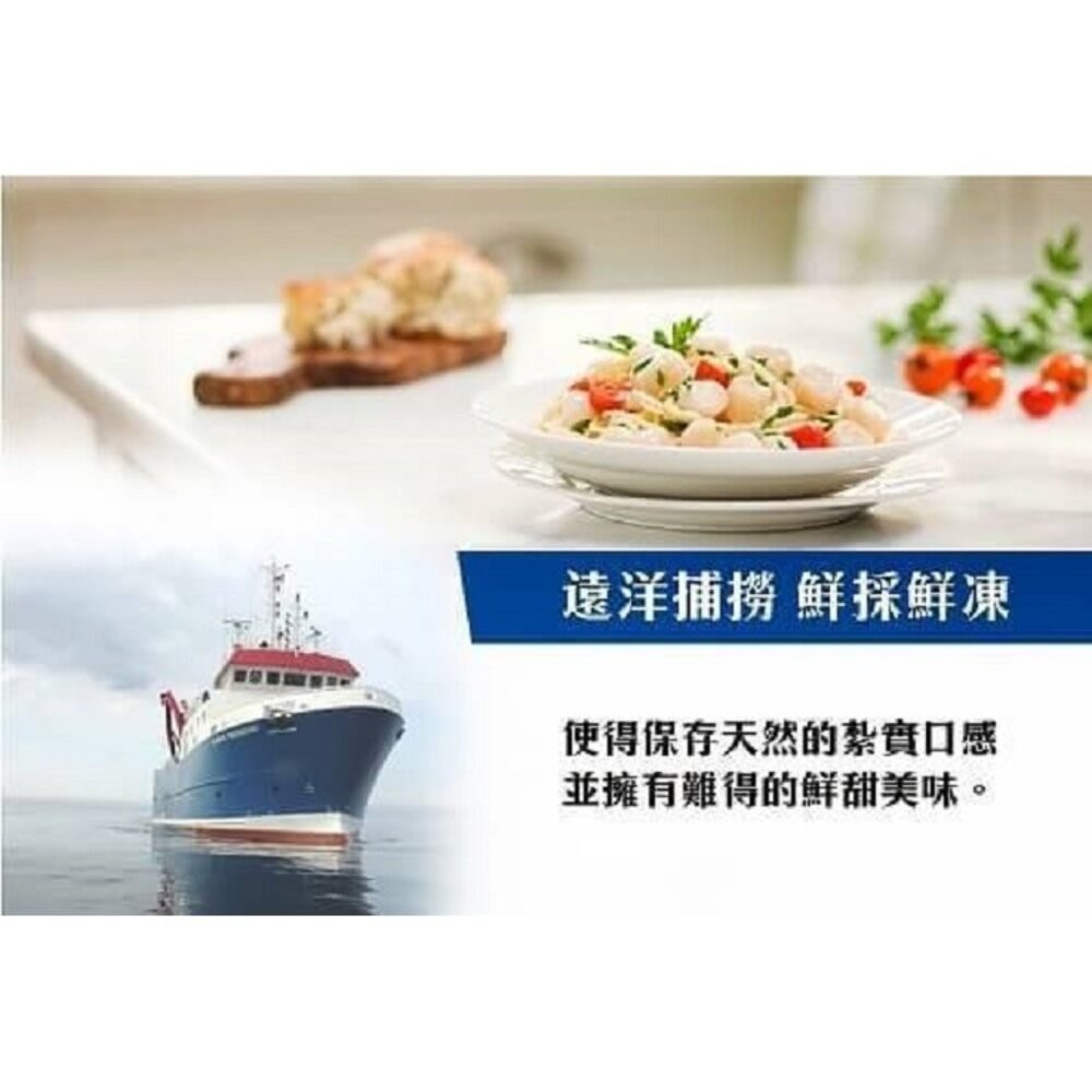 組合大干貝【天天鮮配】滿額免運 扇貝肉 扇貝柱 干貝肉 貝肉-細節圖3