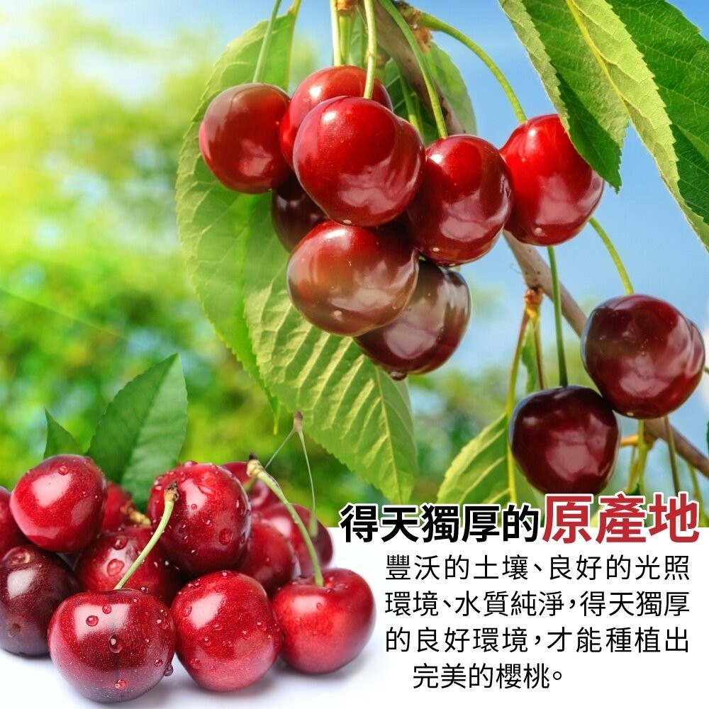 紐西蘭空運大嘴巴櫻桃原裝2kg±10%含盒 0運費【果之蔬】紐西蘭櫻桃 大嘴巴禮盒 年節禮盒 水果禮盒-細節圖3
