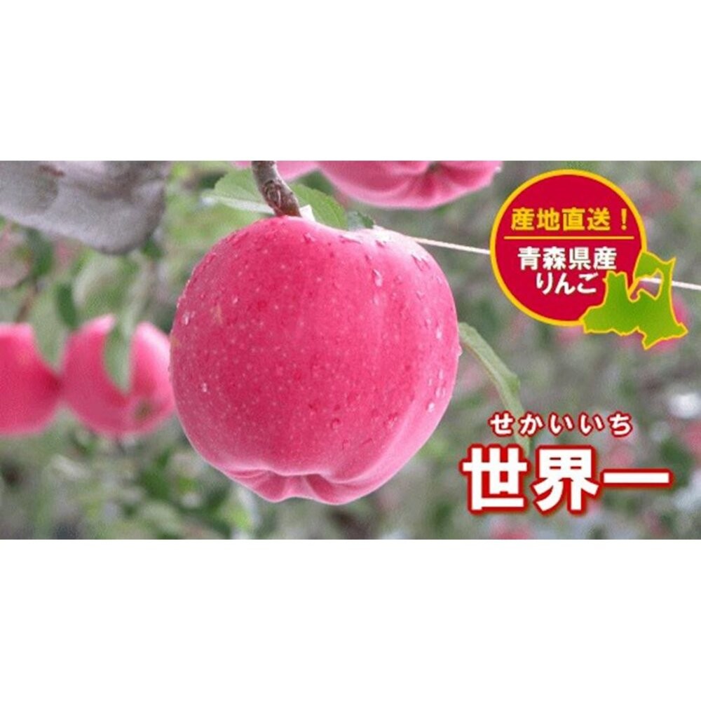 日本青森縣世界一蘋果(每顆450-500g) 0運費【果之蔬】日本蘋果 日本紅蘋果 日本世界一 青森蘋果 青森紅蘋果-細節圖4