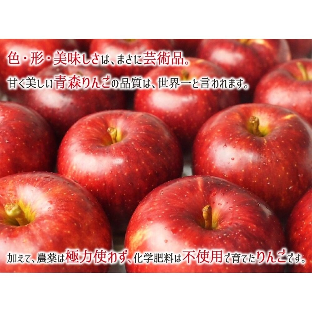 日本青森縣世界一蘋果(每顆450-500g) 0運費【果之蔬】日本蘋果 日本紅蘋果 日本世界一 青森蘋果 青森紅蘋果-細節圖6
