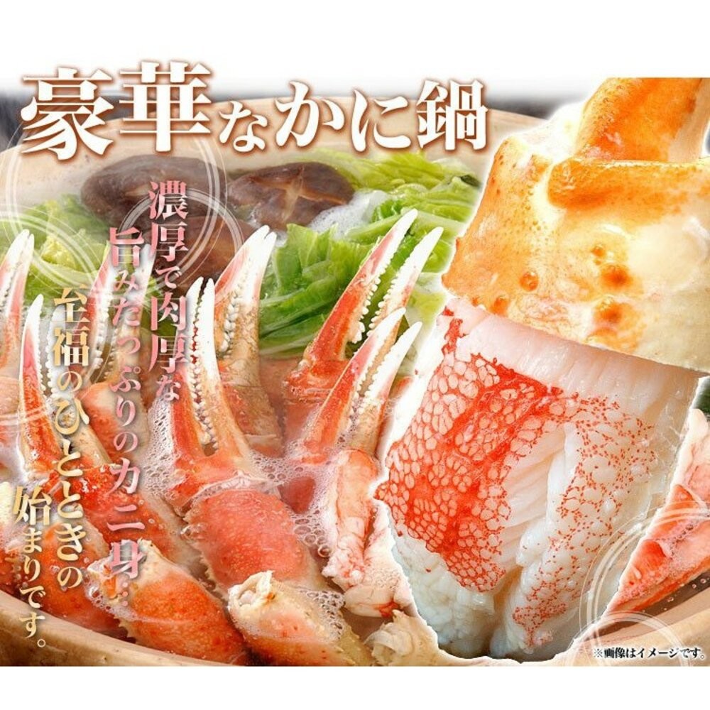 日本鳥取縣松葉蟹鉗(每包10-15個/200g±10%)【海陸管家】滿額免運 蟹鉗 蟹腳 螃蟹 火鍋料-細節圖4
