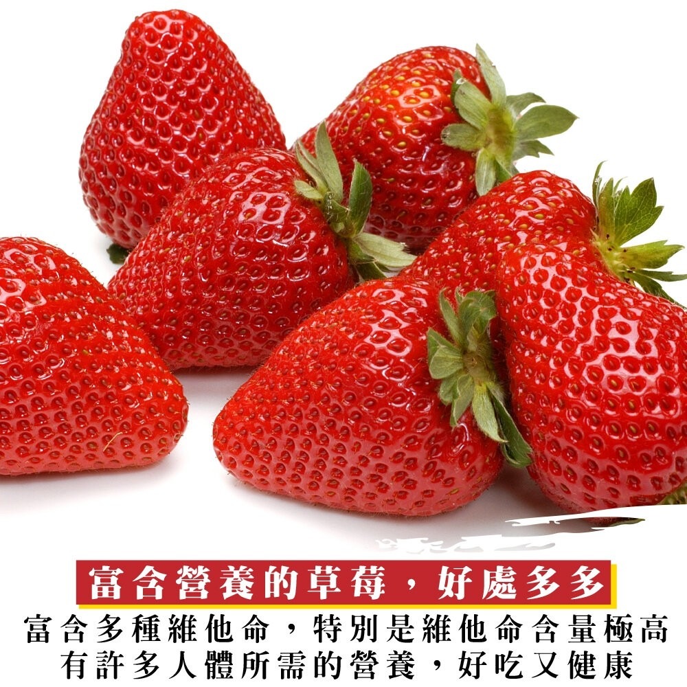 日本熊本/福岡/佐賀空運草莓(每P約7-12顆/300±10%)【果之蔬】日本草莓 草莓禮盒 年節禮盒 水果禮盒-細節圖7