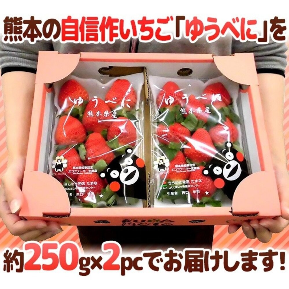 日本熊本/福岡/佐賀空運草莓(每P約7-12顆/300±10%)【果之蔬】日本草莓 草莓禮盒 年節禮盒 水果禮盒-細節圖8