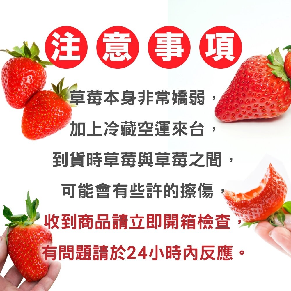 日本熊本/福岡/佐賀空運草莓(每P約7-12顆/300±10%)【果之蔬】日本草莓 草莓禮盒 年節禮盒 水果禮盒-細節圖9