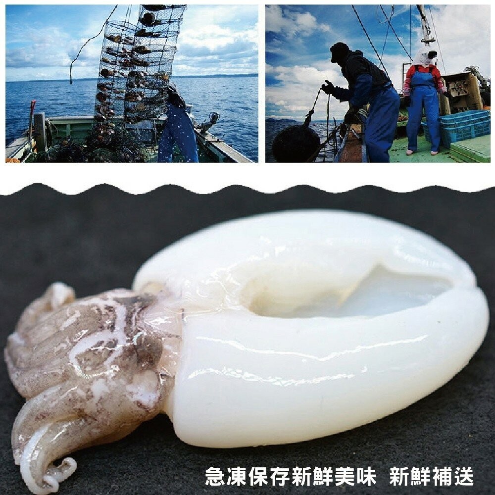 鮮凍Q彈一口小花枝(每包220g±10%/約15隻)【海陸管家】滿額免運-細節圖2