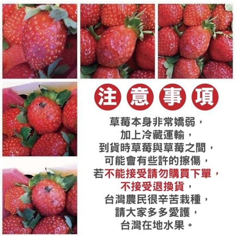 嚴選台灣香水草莓(每盒400g±10%含盒) 0運費【果之蔬】台灣草莓 草莓果醬 盒裝草莓-細節圖7