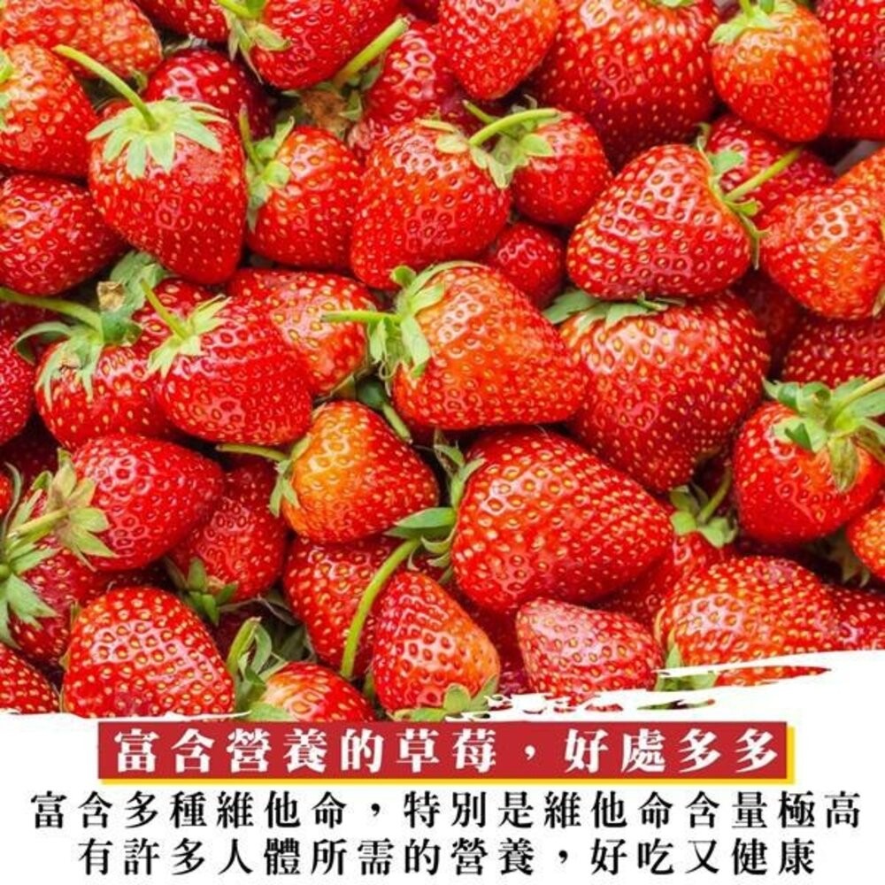 嚴選台灣香水草莓(每盒400g±10%含盒) 0運費【果之蔬】台灣草莓 草莓果醬 盒裝草莓-細節圖6