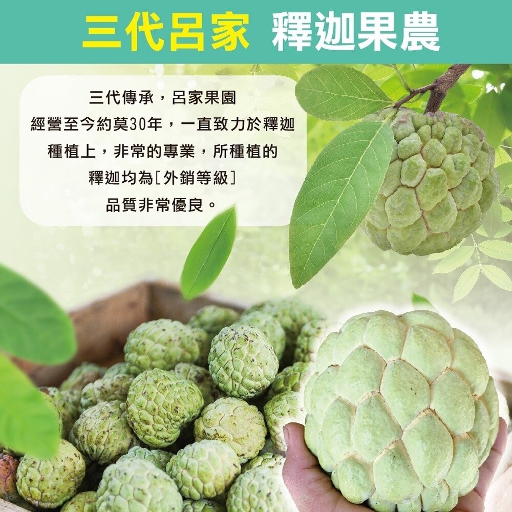 台東大目釋迦5斤±10% 0運費【果農直配】台灣釋迦 大目 釋迦-細節圖3