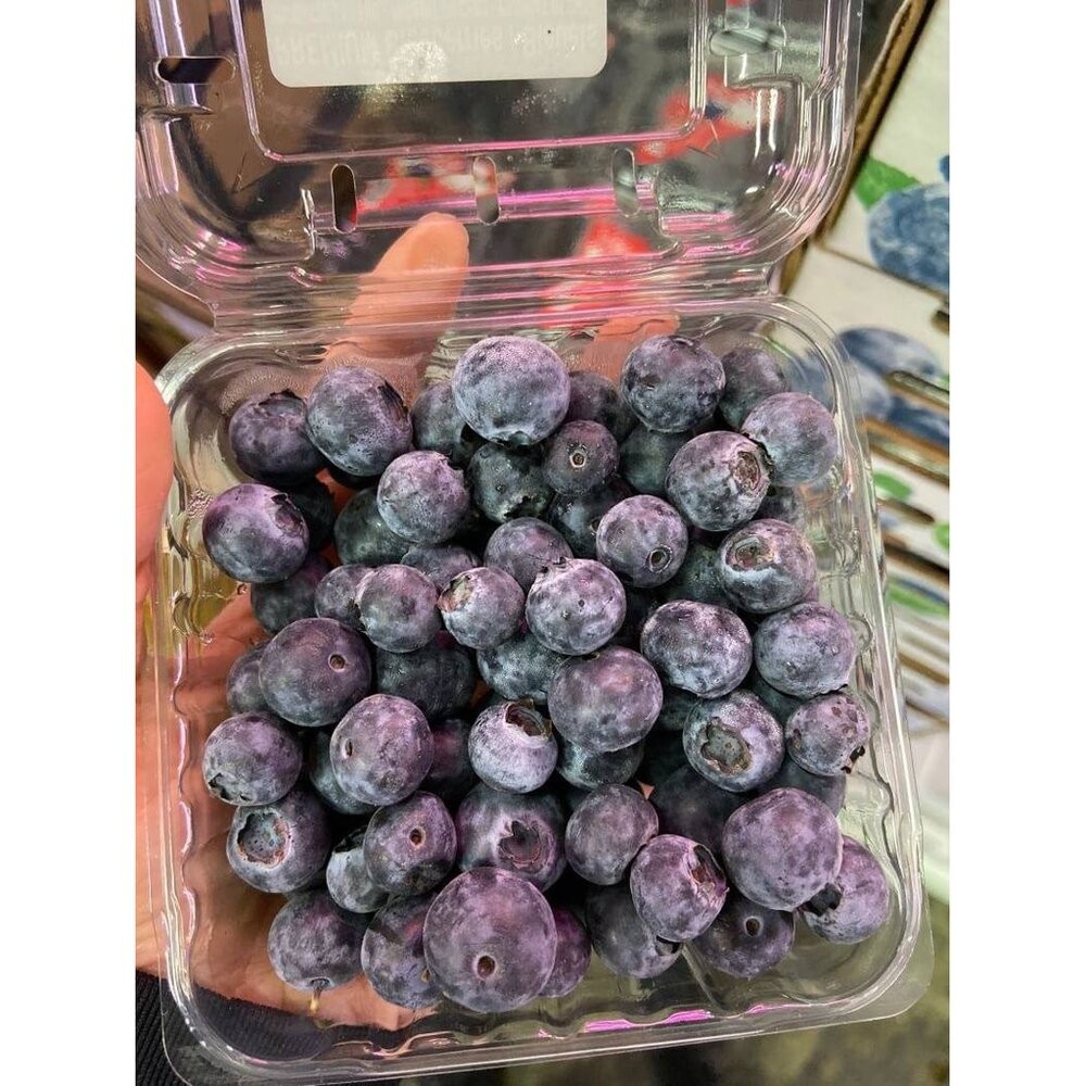 秘魯/智利/紐西蘭進口藍莓(每盒125g±10%) 0運費【果之蔬】-細節圖7