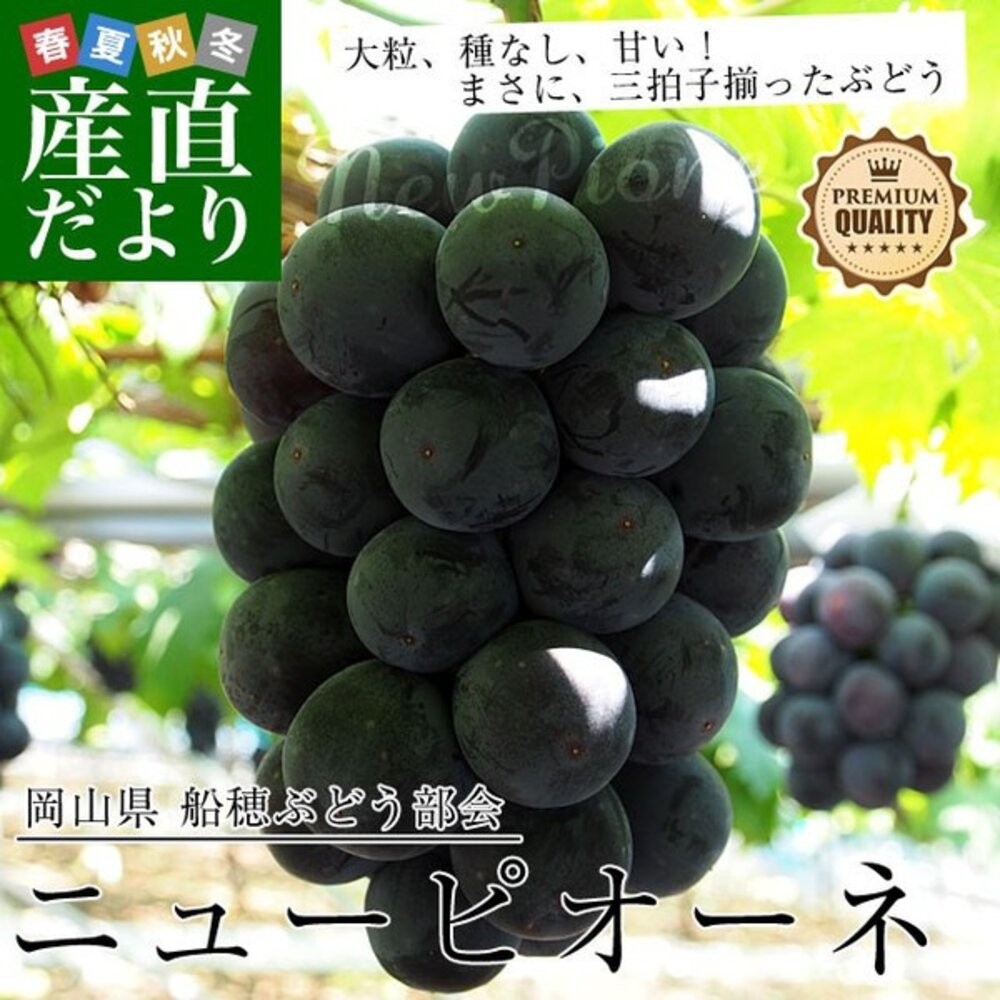 日本岡山/香川/長野貓眼葡萄禮盒(每串700g±10%) 0運費【果之蔬】貓眼葡萄 巨峰葡萄 黑葡萄 紫葡萄 日本葡萄-細節圖3