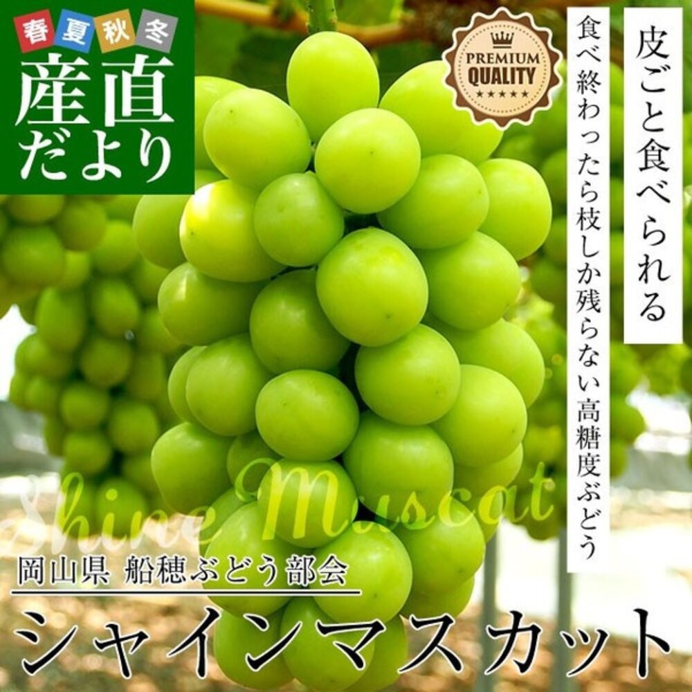 日本岡山晴王麝香葡萄禮盒 0運費【果之蔬】日本葡萄 無籽葡萄 綠葡萄 日本綠葡萄 日本水果 晴王葡萄-細節圖4
