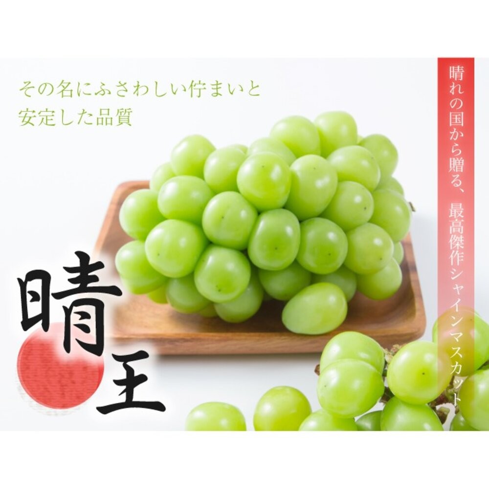 日本岡山晴王麝香葡萄禮盒 0運費【果之蔬】日本葡萄 無籽葡萄 綠葡萄 日本綠葡萄 日本水果 晴王葡萄-細節圖6