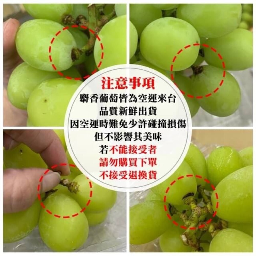 日本岡山晴王麝香葡萄禮盒 0運費【果之蔬】日本葡萄 無籽葡萄 綠葡萄 日本綠葡萄 日本水果 晴王葡萄-細節圖7