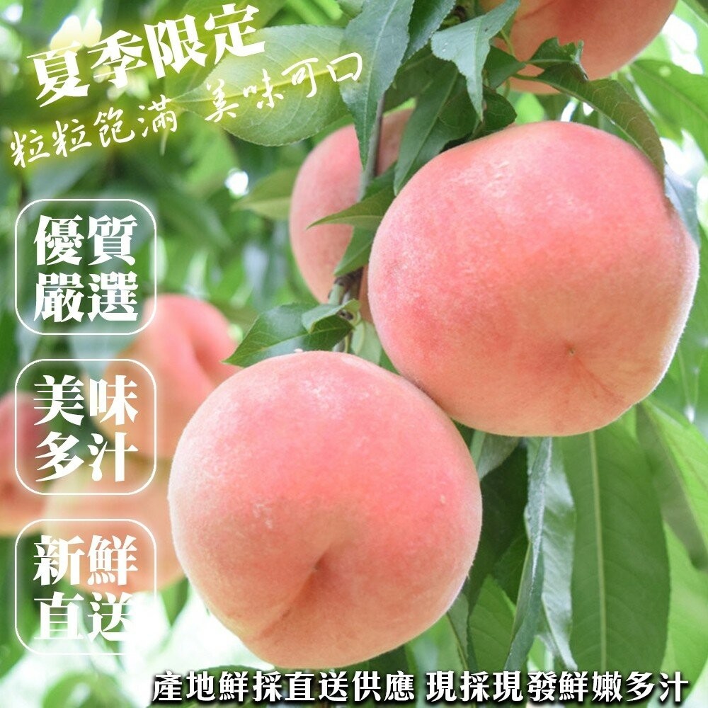 美國桃仙子水蜜桃原箱4kg±10%含箱 0運費【果之蔬】美國水蜜桃 進口水蜜桃 水蜜桃禮盒 桃仙子 水蜜桃-細節圖2