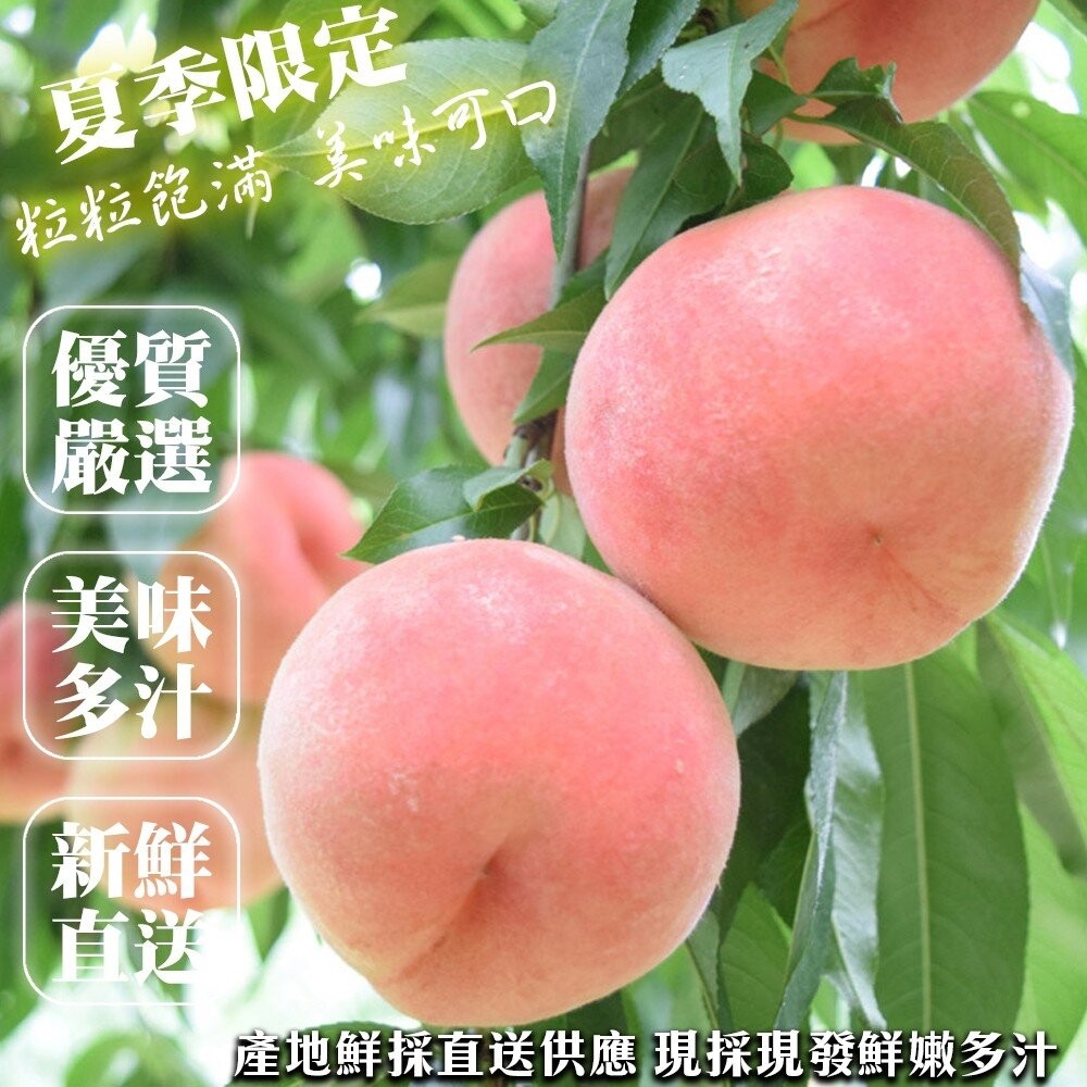 美國桃仙子水蜜桃原箱4kg±10%含箱 0運費【果之蔬】美國水蜜桃 進口水蜜桃 水蜜桃禮盒 桃仙子 水蜜桃-細節圖2