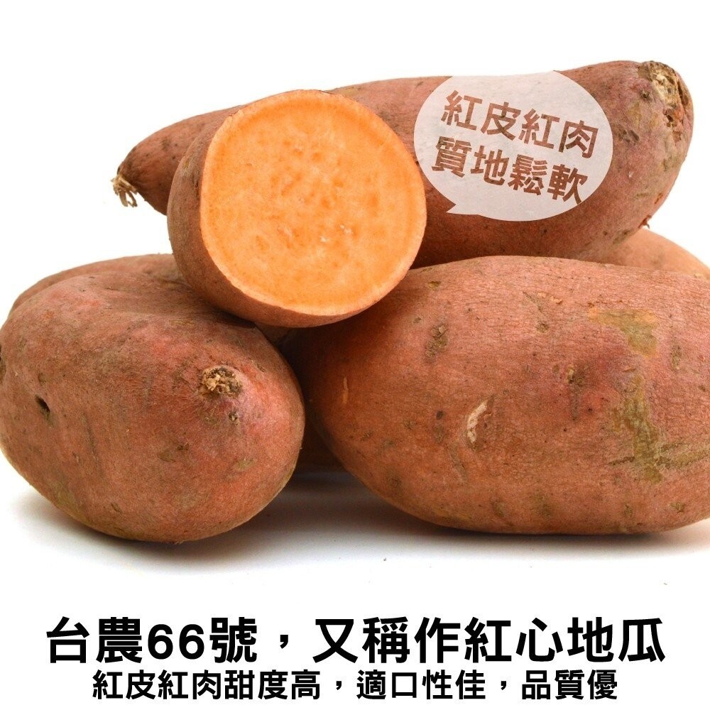 台農66號紅心地瓜(生)【果農直配】全省免運-細節圖2