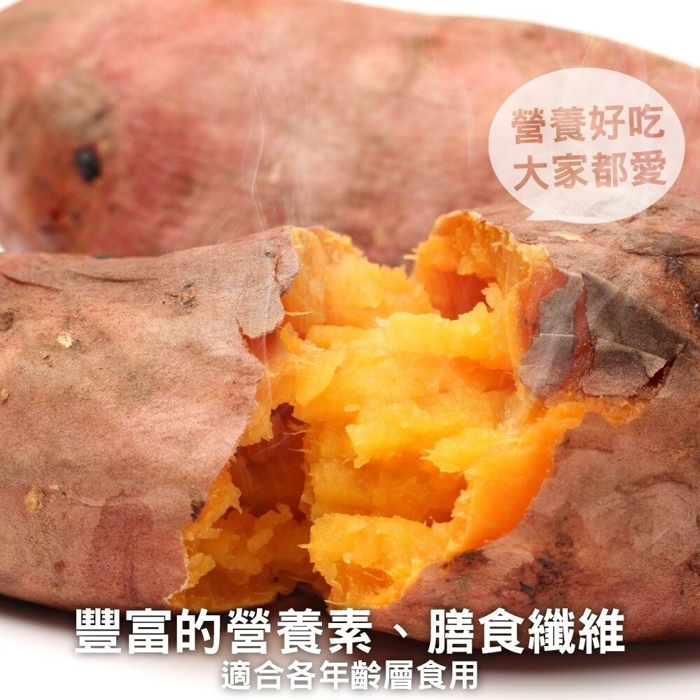 台農66號紅心地瓜(生)【果農直配】全省免運-細節圖4