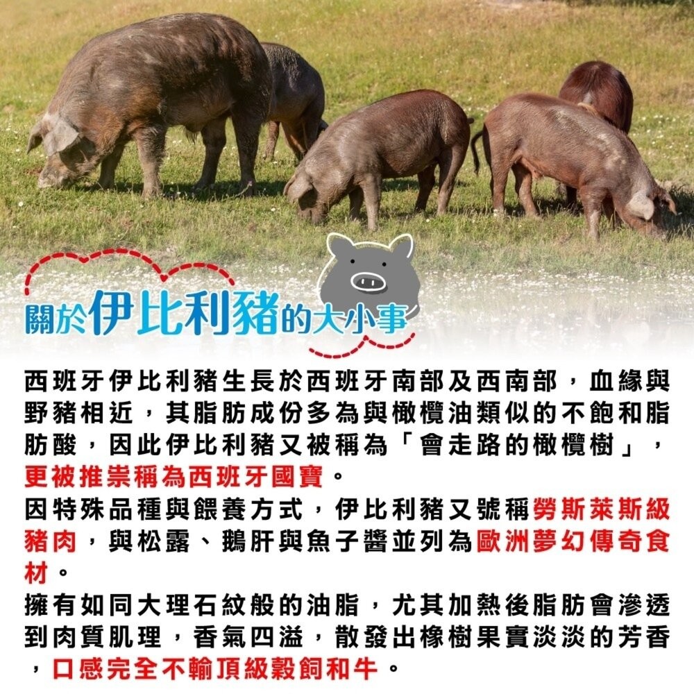 西班牙伊比利梅花豬肉片(每盒200g±10%)【海陸管家】滿額免運-細節圖2