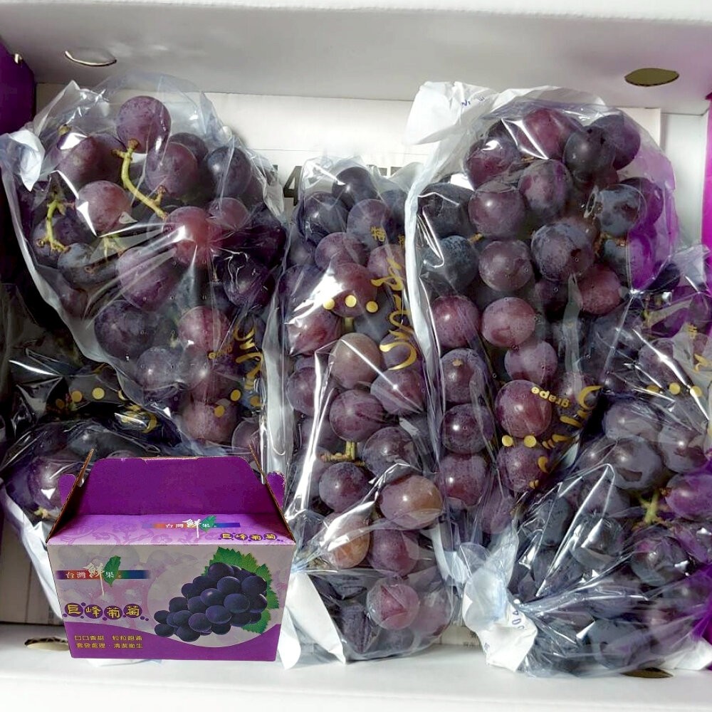 苗栗卓蘭巨峰葡萄禮盒5斤±10%/含盒 0運費【果農直配】巨峰葡萄 卓蘭 葡萄禮盒-細節圖2