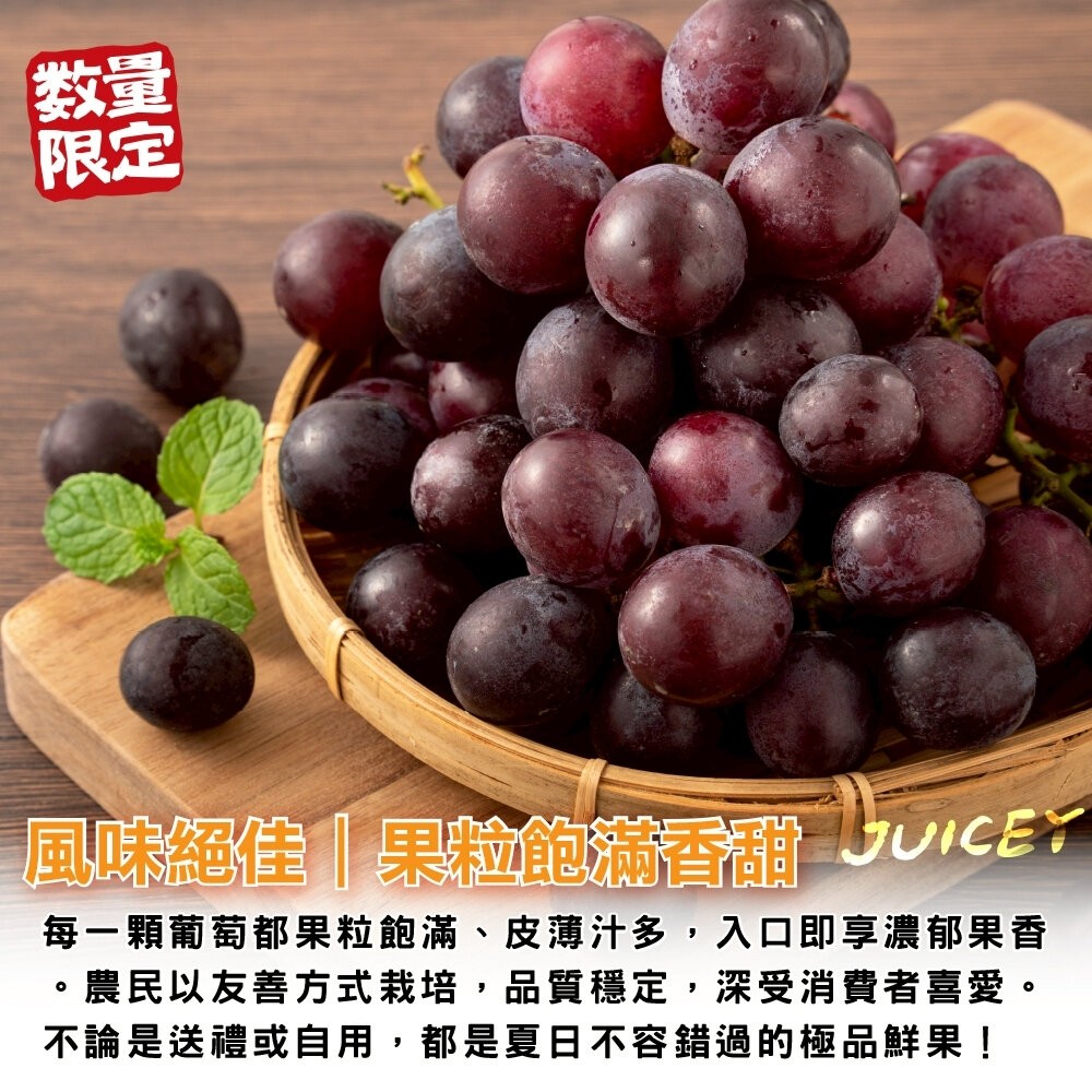 苗栗卓蘭巨峰葡萄禮盒5斤±10%/含盒 0運費【果農直配】巨峰葡萄 卓蘭 葡萄禮盒-細節圖4