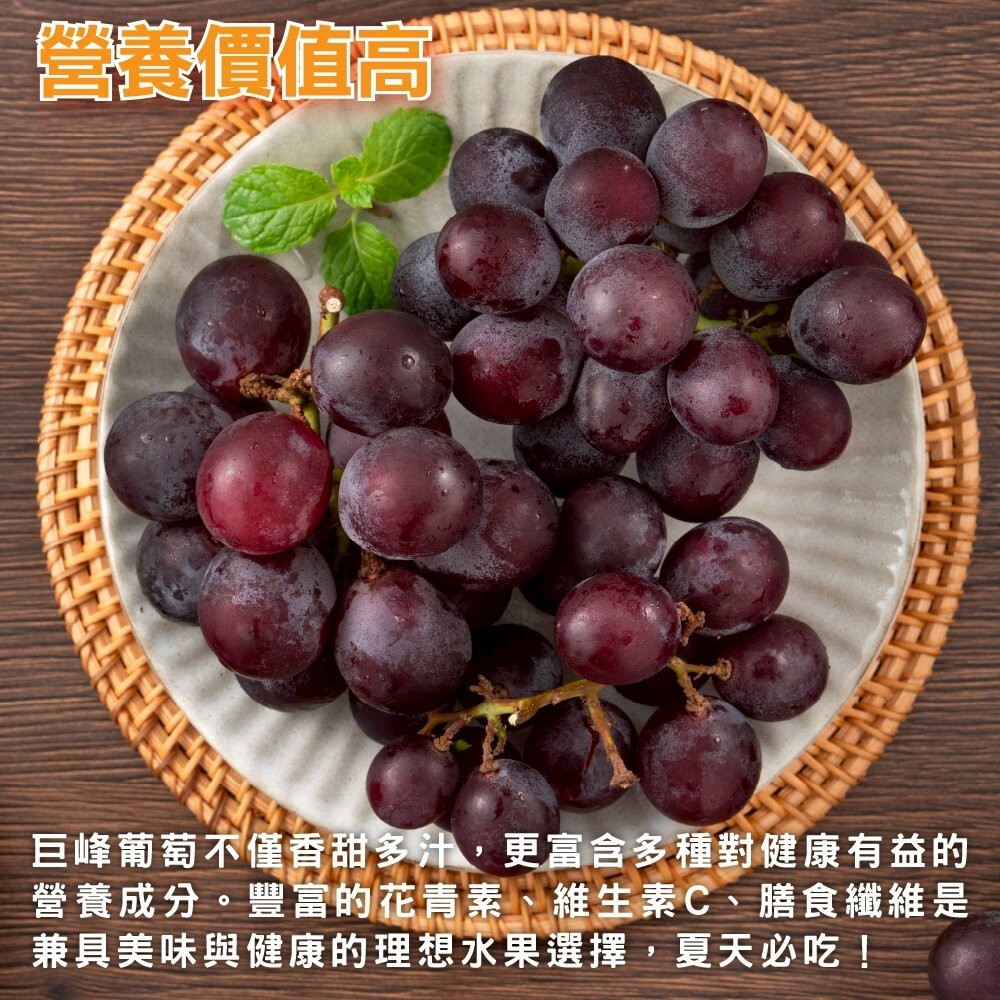 苗栗卓蘭巨峰葡萄禮盒5斤±10%/含盒 0運費【果農直配】巨峰葡萄 卓蘭 葡萄禮盒-細節圖5