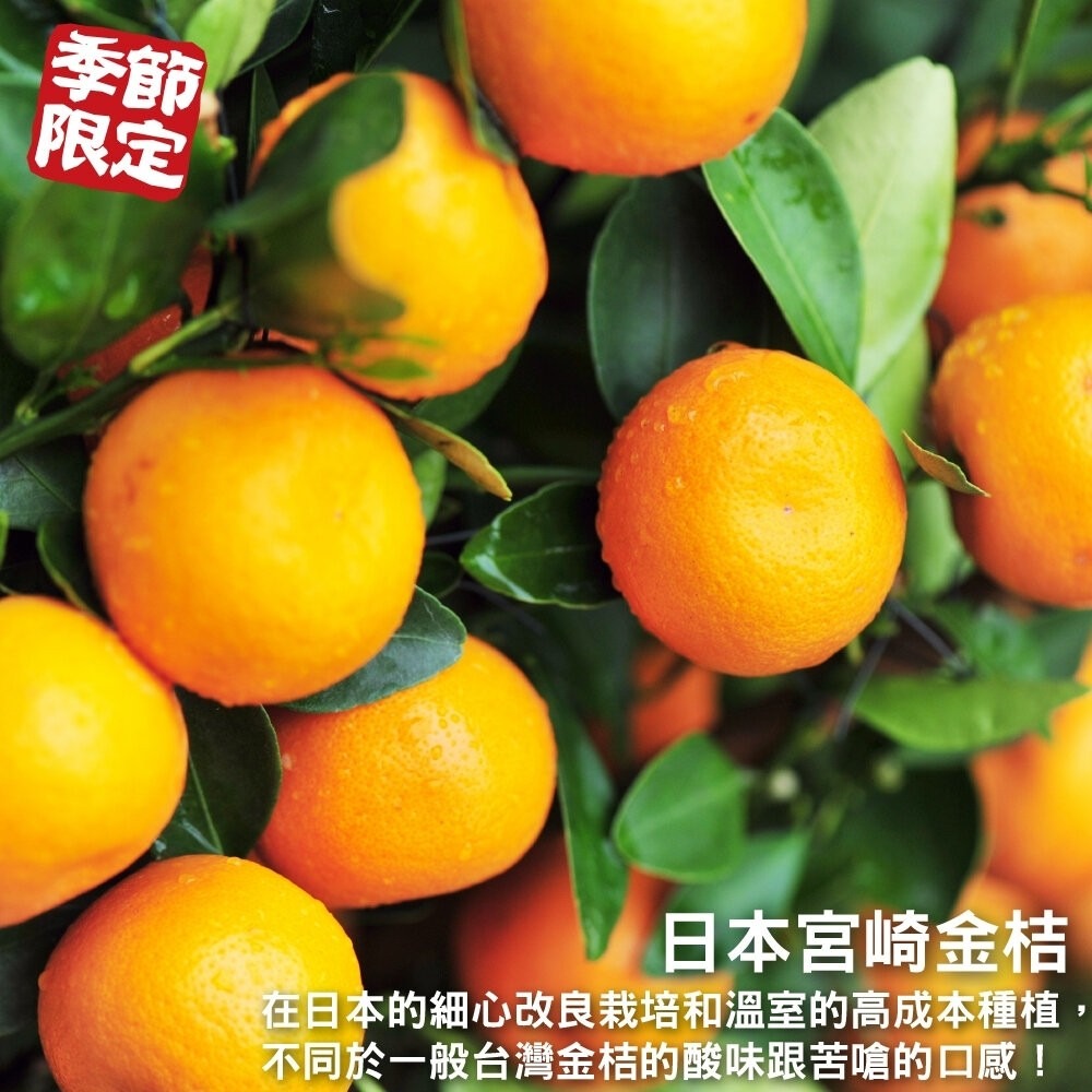 日本空運宮崎溫室金桔(每盒250g±10%) 0運費【果之蔬】日本水果 日本金桔 日本金吉 金吉 宮崎金桔-細節圖3