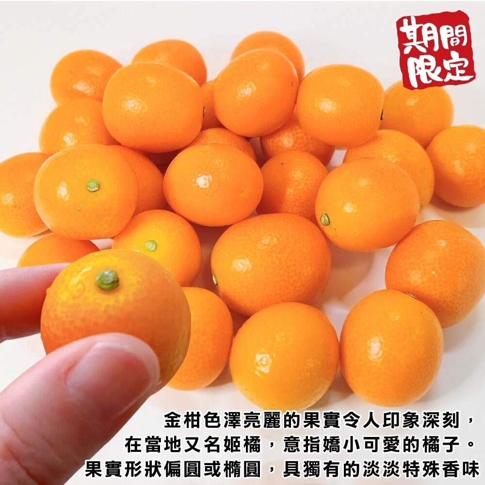日本空運宮崎溫室金桔(每盒250g±10%) 0運費【果之蔬】日本水果 日本金桔 日本金吉 金吉 宮崎金桔-細節圖4