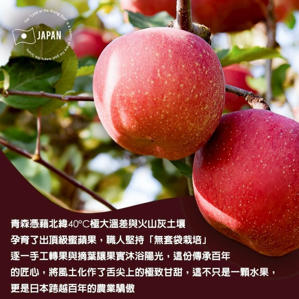 日本青森紅蜜蘋果原箱13kg±10%/ 72-75入 0運費【果之蔬】日本蘋果 蜜蘋果 紅蘋果 青森蘋果 蘋果禮盒 年節-細節圖3