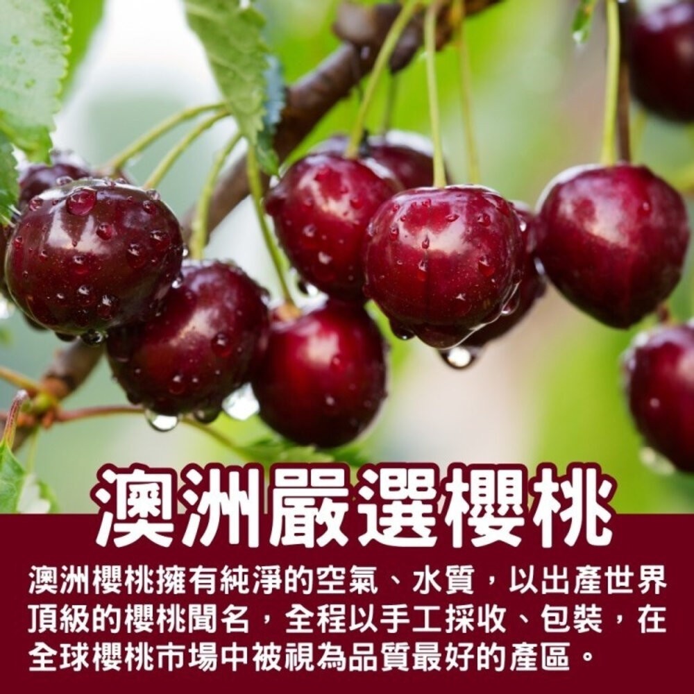 Tasmanian 澳洲空運塔斯馬尼亞櫻桃原裝盒 0運費【果之蔬】澳洲櫻桃 空運櫻桃 進口櫻桃 櫻桃禮盒-細節圖2