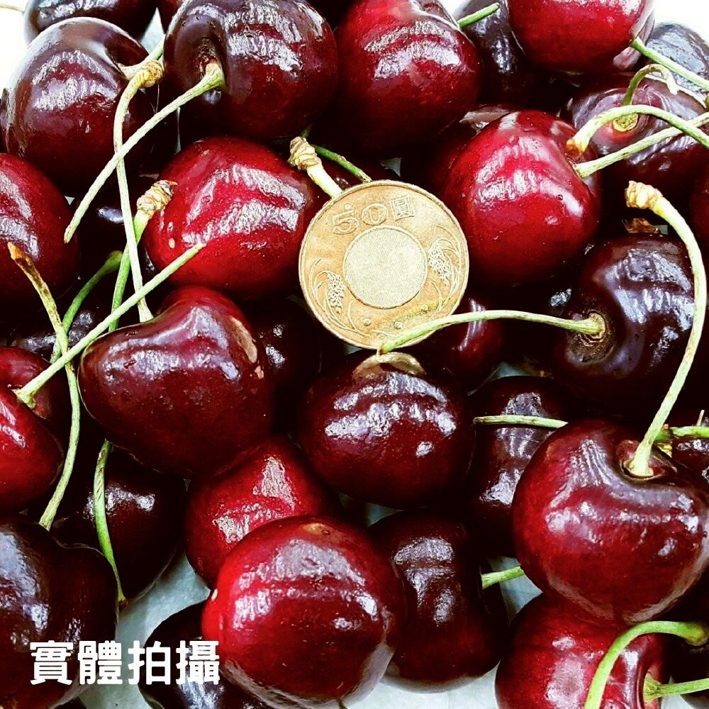 Tasmanian 澳洲空運塔斯馬尼亞櫻桃原裝盒 0運費【果之蔬】澳洲櫻桃 空運櫻桃 進口櫻桃 櫻桃禮盒-細節圖5