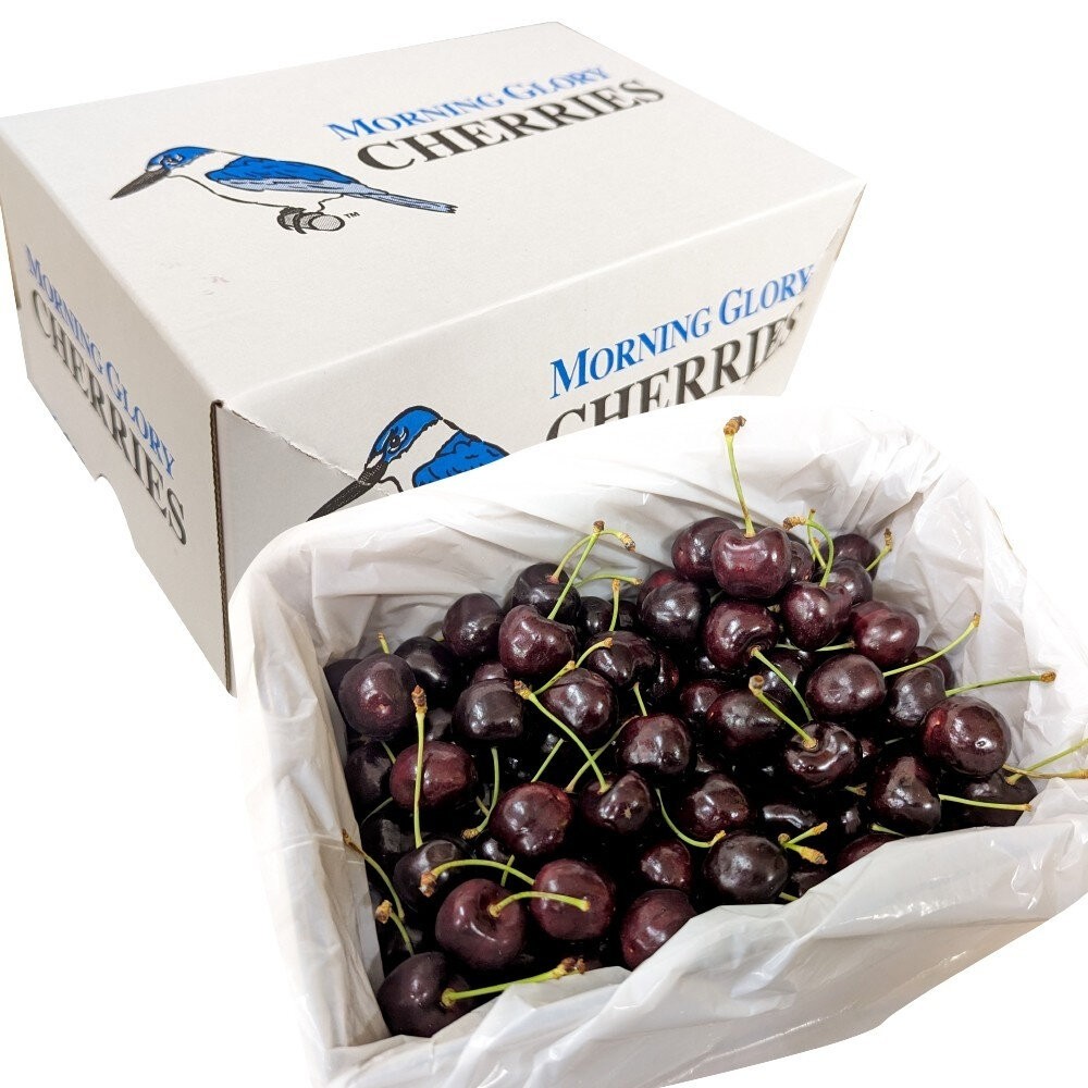 紐西蘭空運牽牛花櫻桃原裝/分裝禮盒 0運費【果之蔬】紐西蘭櫻桃 進口櫻桃 空運櫻桃 原裝櫻桃 櫻桃禮盒 年節禮盒 水果禮-細節圖2