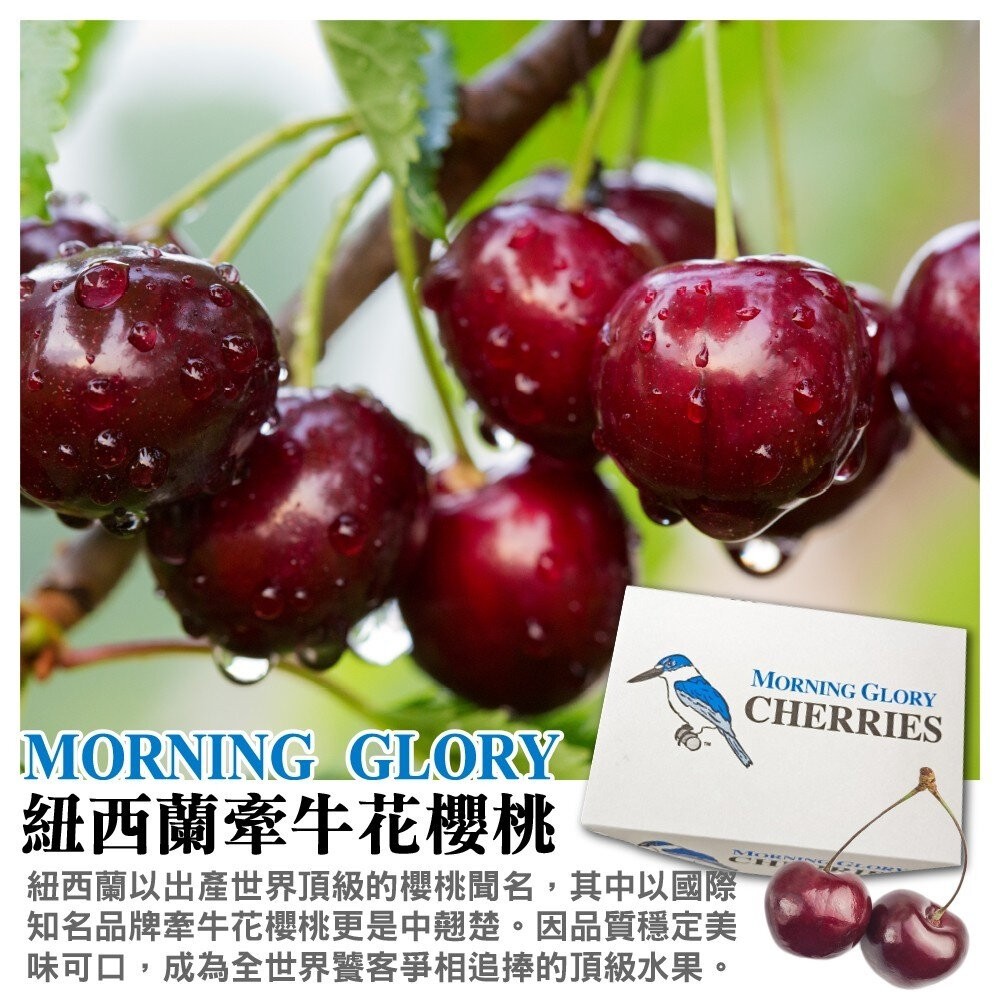 紐西蘭空運牽牛花櫻桃原裝/分裝禮盒 0運費【果之蔬】紐西蘭櫻桃 進口櫻桃 空運櫻桃 原裝櫻桃 櫻桃禮盒 年節禮盒 水果禮-細節圖3
