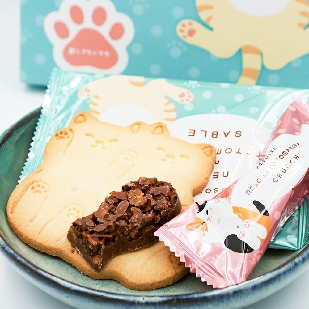 日本若尾枕頭萌貓餅乾禮盒 0運費 新年禮盒 伴手禮-細節圖4