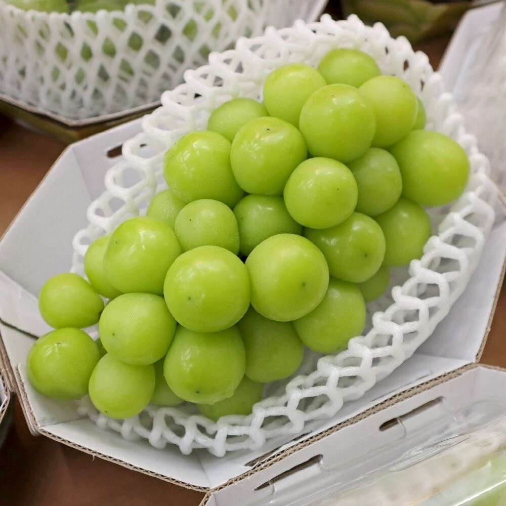 韓國空運無籽麝香葡萄(每盒450g±10%) 0運費【果之蔬】韓國葡萄 無籽葡萄 綠葡萄 進口葡萄 空運葡萄-細節圖2